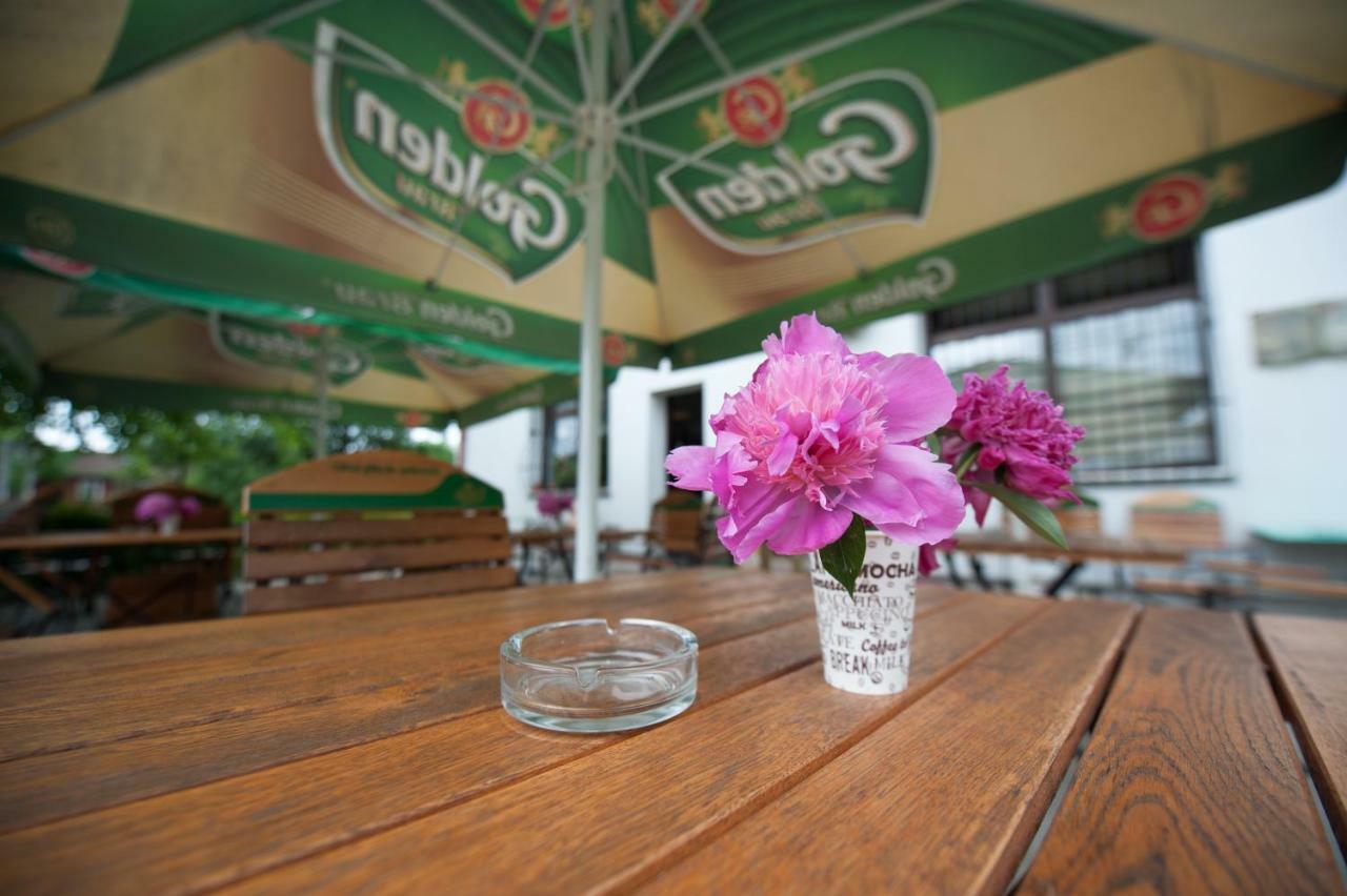 Pension Florica Pitesti Exterior photo